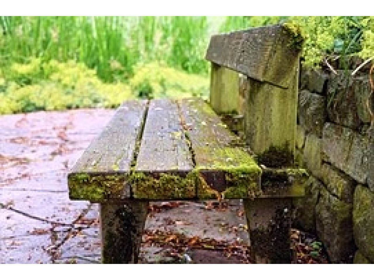 Aquaplan Dak & Muur Reiniger toegepast op tuinbank met groene aanslag.