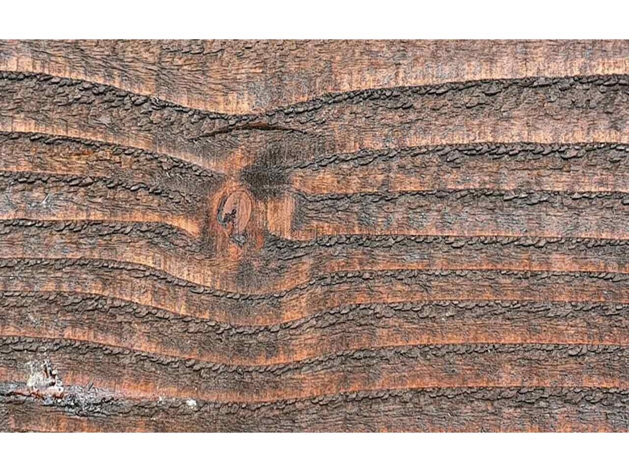 Buitenbeits palisander
