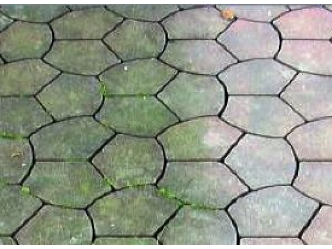 Aquaplan Dak & Muur Reiniger toegepast op bestrating met groene aanslag.