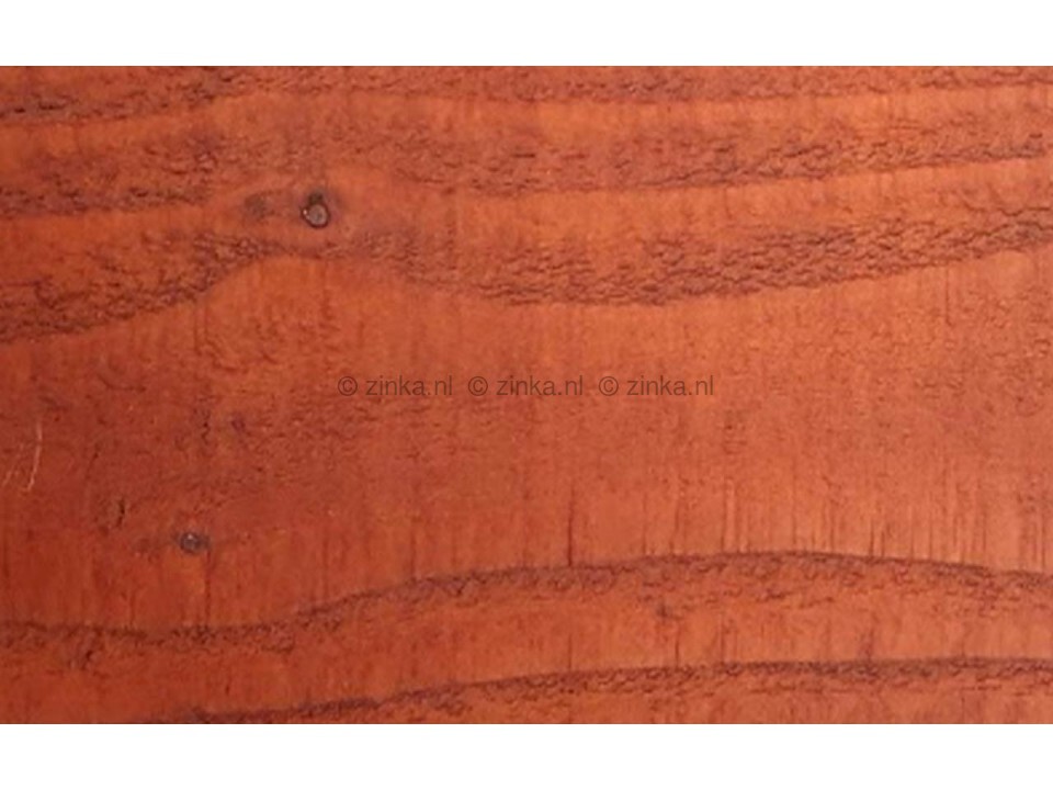 Beits pine